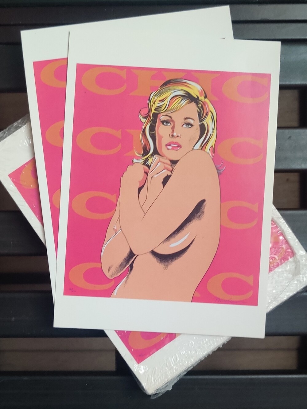 VINTAGE 1998 MoMA Mel Ramos "Chic" Postcard Set - Deadstock Lot of 10